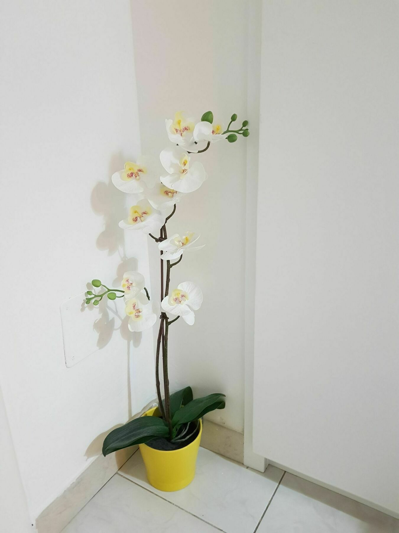 Happy Apartment Лечче Екстер'єр фото